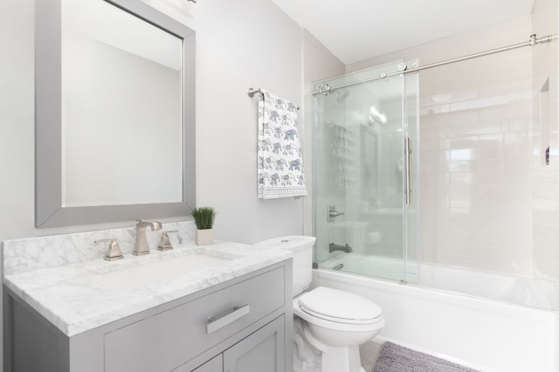 Top Tub To Shower Conversion Companies in Sheboygan, WI